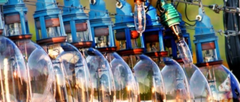 北海道産 スルメイカ イカソーメン情報サイト